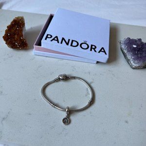 Pandora Charm 21